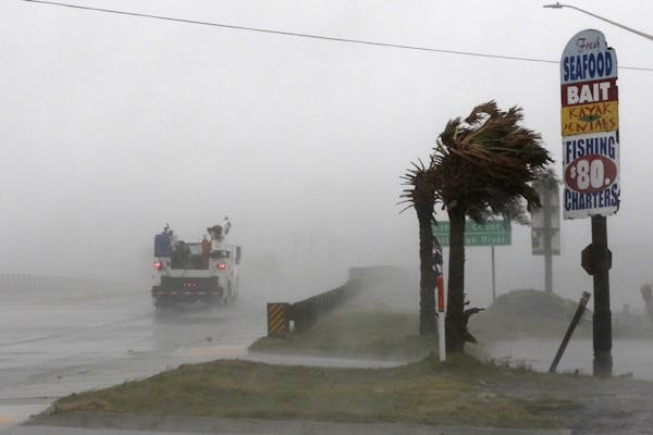 A work truck drives on Hwy 24 as the wind from Hurricane Florence blows palm trees in Swansboro N.C., Thursday, Sept. 13, 2018.