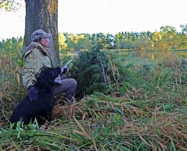 Arnold Krueger and his pal, Jet, looked over a pond on his property about 6 miles from Le Center on Saturday monring, opening day of the Minnesota duc