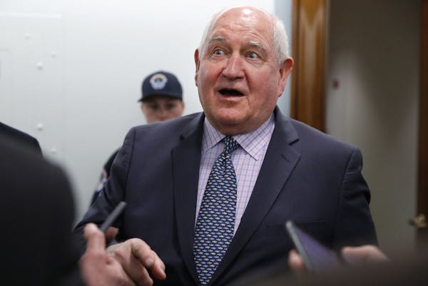 FILE - In this April 11, 2018, file photo, Agriculture Secretary Sonny Perdue speaks with reporters on Capitol Hill in Washington. The Trump administr