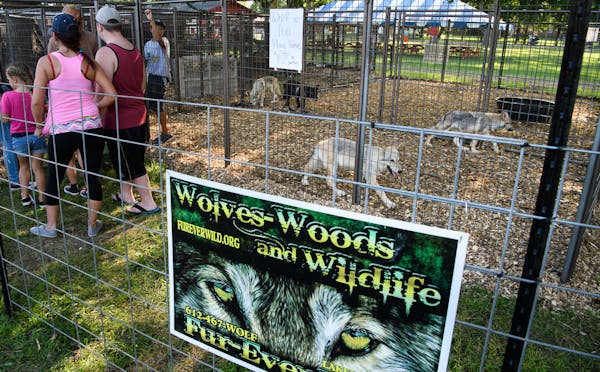Fur-ever Wild, seen running a display at the Dakota County Fair in 2017.