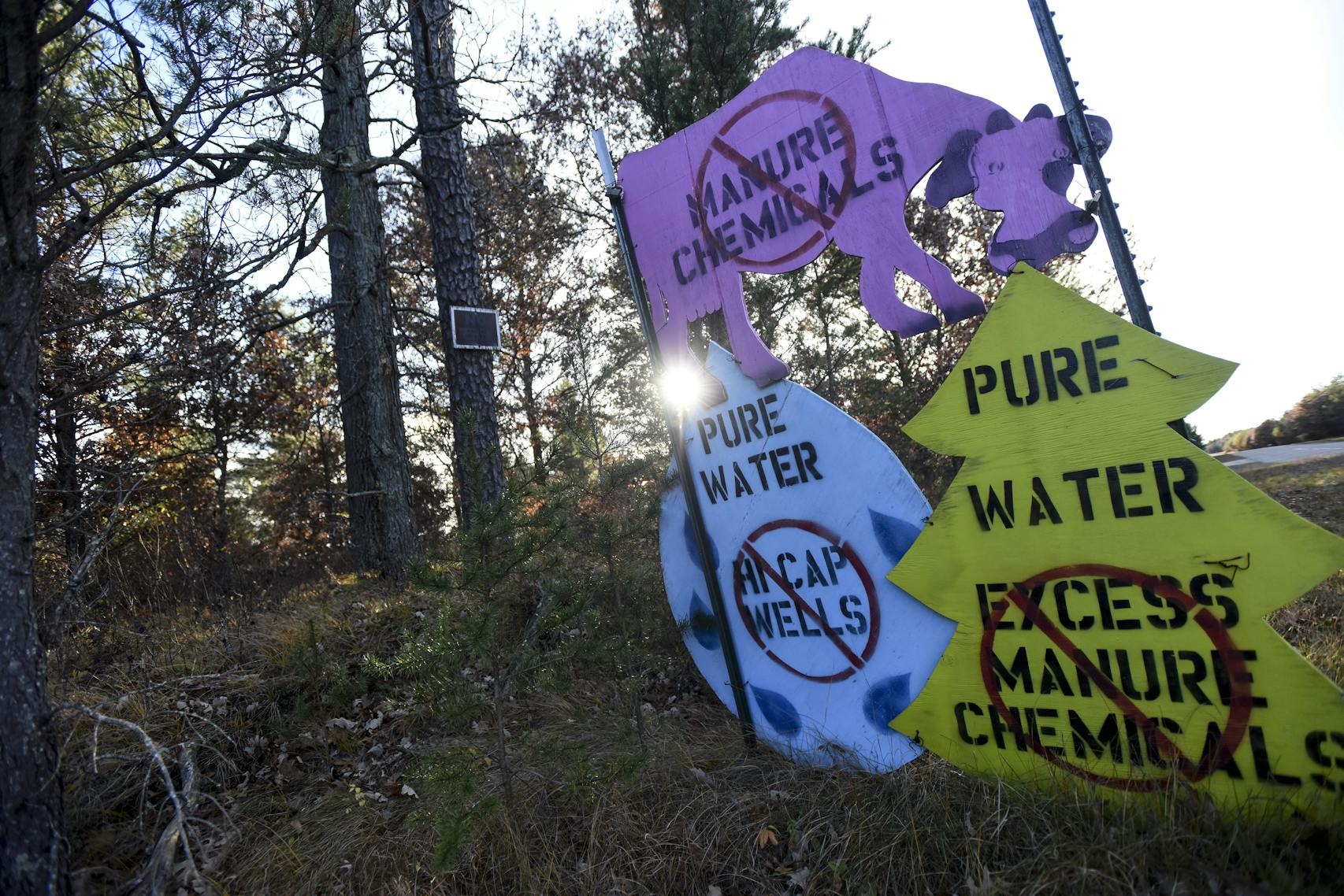 Signs advocating for clean water and against a proposed feedlot lined a road in Saratoga, Wis.