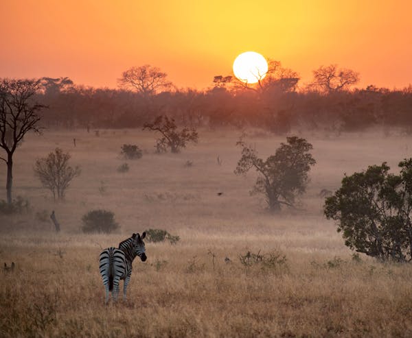 During his stay at South Africa’s Sabi Sands Game Reserve, Andy Miller of Hutchinson, Minn., saw elephants, lions, hippos, rhinos and more. For him,