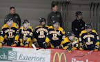 Top boys' hockey games: Rosemount, Prior Lake jockey for position in wide-open South Suburban Conference