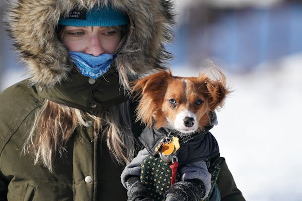 Katy Nordhagen walked carrying her 3-year-old dog Peppers after taking him out for a bathroom break Wednesday in Northeast Minneapolis.
