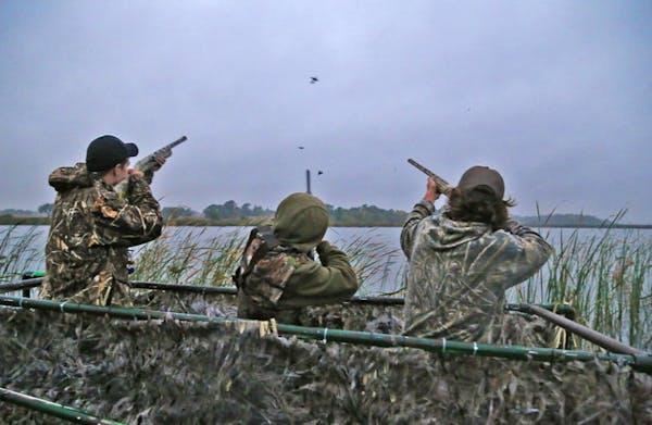Trevor Unruh, left, Riley Mcalpine and Ryder Beckman drew down on a few blue-winged teal during the 2016 Minnesota duck season opener.