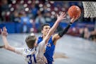 Fast start, strong finish propels Waseca past Holy Angels