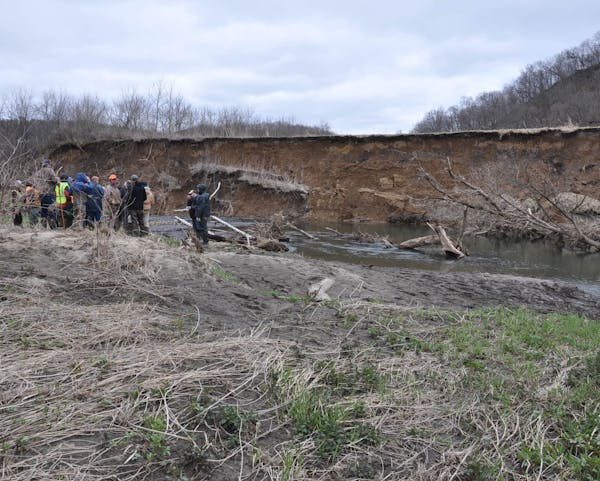 Wood debris, such as broken trees, has come under fire as a less-than-durable material for fortifying banks and preventing trout-stream erosion.
