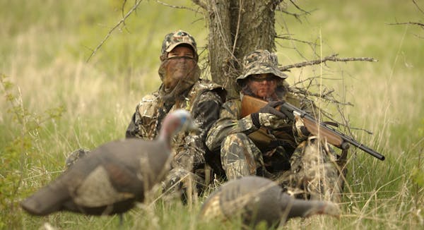 Young turkey hunters, including those with mentors, and women could use .410 shotguns in Minnesota for wild turkey hunting under bills being considere