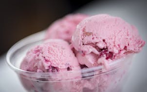 Lingonberry ice cream: one more reason to look forward to the fair.