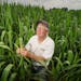 This field of Tom Haag’s corn was planted the first week of June, about two weeks later than he preferred due to the rainy conditions in the area. C