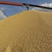 U.S. farmers and organic industry watchdogs are scrutinizing grain shipments from an Argentinian farm, representing a new front in an effort to combat