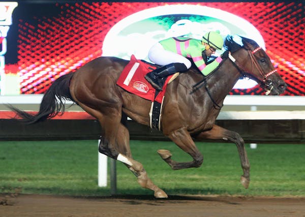 Mister Banjoman won the Minnesota Derby in early August and stands second in earnings at Canterbury Park this summer. Aug. 10