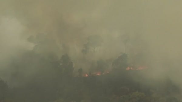 Aerial video shows huge fires in Amazon
