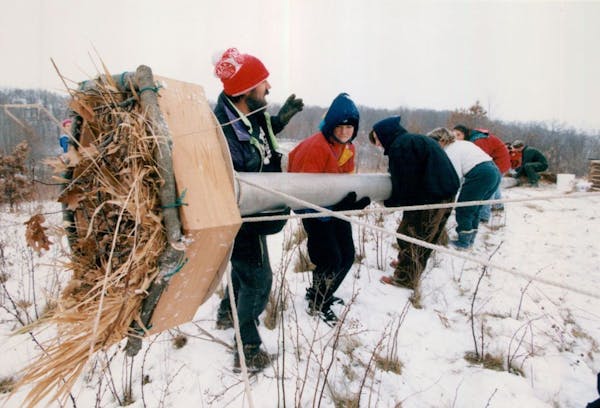 In 1994, Randy Christman, left, of the Raptor Resource Project directed students from the Marcy Open Elementary School in Minneapolis as they hoisted 