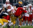 Lakeville North rides RaJa Nelson's versatility to 20-3 victory over Rosemount