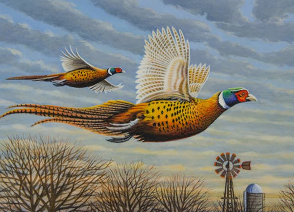 2020 Pheasant Stamp Competition * First Place: Mark Kness of albert lea, Minn.