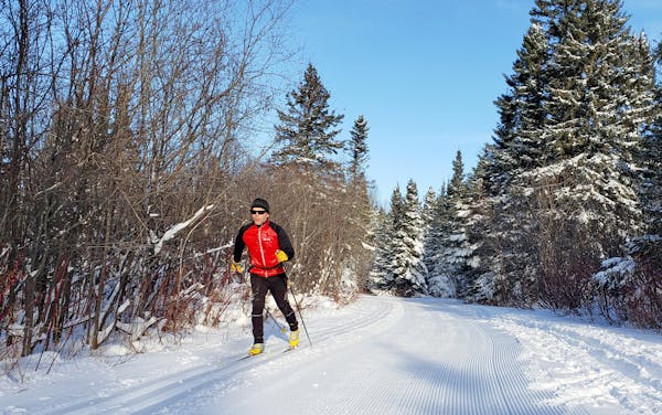 The Sugarbush Ski Trail System cuts through the Superior National Forest in the Lutsen-Tofte area.