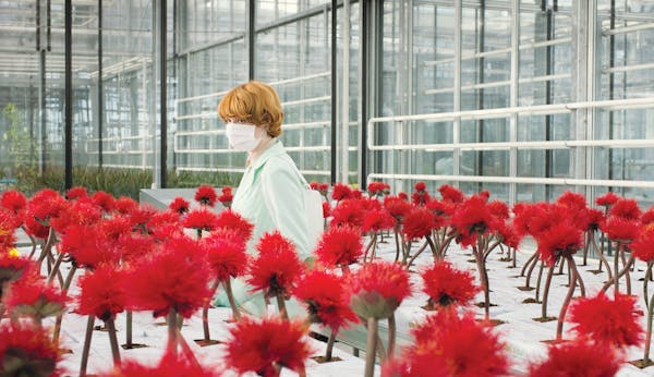 Alice Woodard (Emily Beecham) among genetically engineered flowers in “Little Joe.”