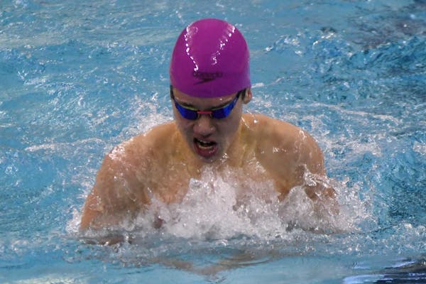 Boys' swimming and diving story lines: 2A holds room for surprise