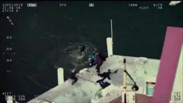 Officer jumps into Baltimore Harbor, rescues dog