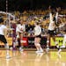 The Gophers celebrated a point against Wisconsin on Nov. 14 at Maturi Pavilion.
