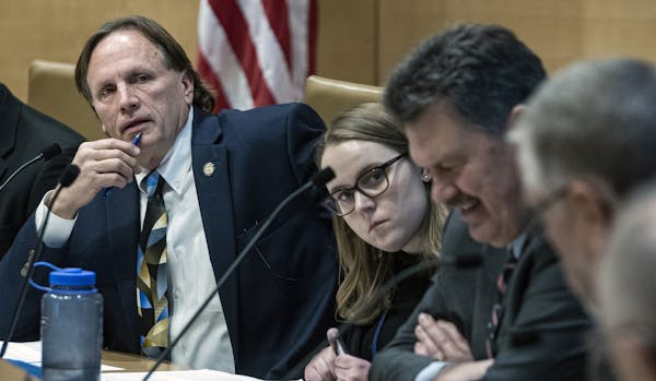 Minnesota State Senator J im Abeler led a hearing Wednesday where Minnesota Department of Human Services officials unveiled plans to improve the state