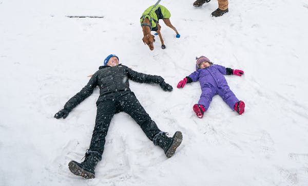 Mackenzie and Liesl, 3, made some snow angels in the park. Havey, husband Jason and their kids Liesl, 3, and Liv, 5-months, along with their Vizsla We