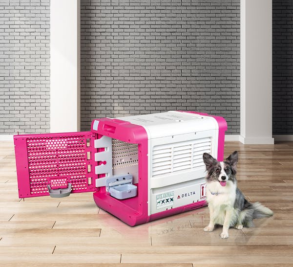 CarePod’s pink pet carrier will cost $800 on Delta flights.