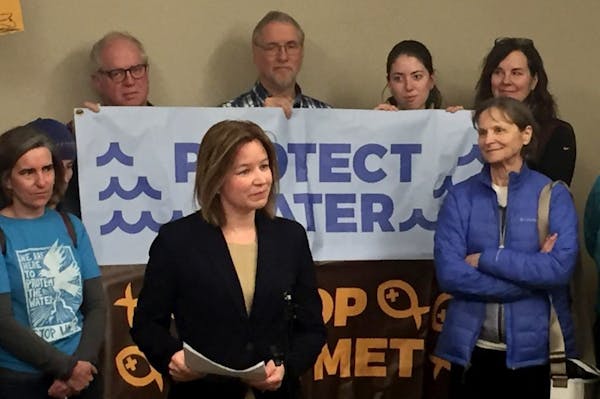 Kathryn Hoffman, CEO of the Minnesota Center for Environmental Advocacy, spoke about the Appeals Court decision on PolyMet's permits in St. Paul on Mo