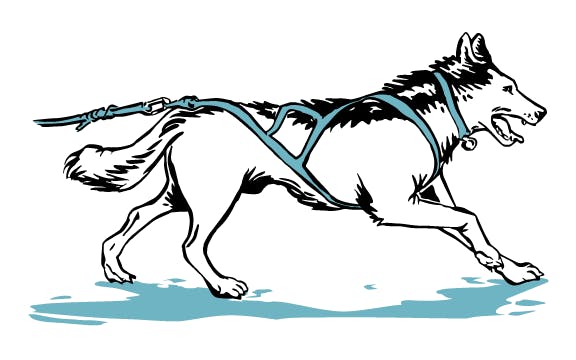 How To Draw A Musher - Occasionaction27