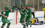 Top boys' hockey games: East Grand Forks, St. Cloud Cathedral clash in regular-season finale