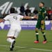 Minnesota United forward Luis Amarilla celebrated his go-ahead goal in the 76th minute of the Loons' 3-1 season-opening victory over Portland on Sunda