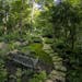 The woodland garden of Cindy and Mike Colson of Chanhassen.