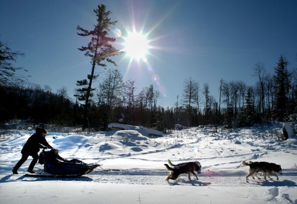 Kevin Walsh mushes dogs along the Gunflint Trail under blue skies and windchill of -50 degrees.