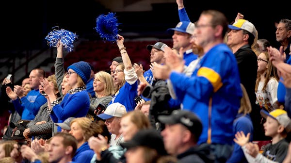 MSHSL cancels floor hockey tourney, restricts fans at basketball to 90 per team