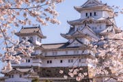 In late March, cherry blossoms are in full bloom at Japan’s Himeji-Jo Castle.