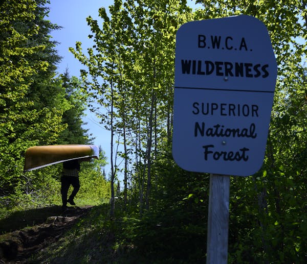 Managers of the Superior National Forest say they are following the lead of the state of Minnesota when it comes to reopening the Boundary Waters Cano