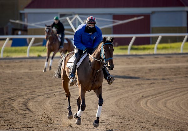 Jason Terjeda trained a horse at Canterbury Park on Tuesday, the first day that horses were allowed on the track. The Minnesota Senate passed a bill S