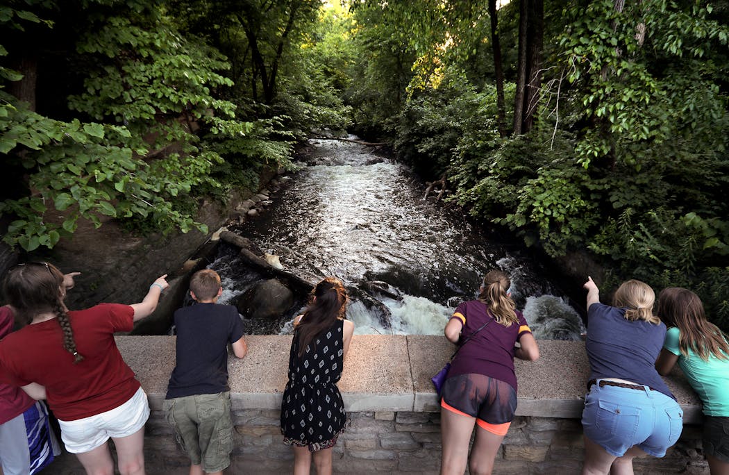 Minneapolis' park system is a mix of neighborhood parks and larger regional parks such as Minnehaha Creek Park, where visitors pointed out wildlife below the Falls.