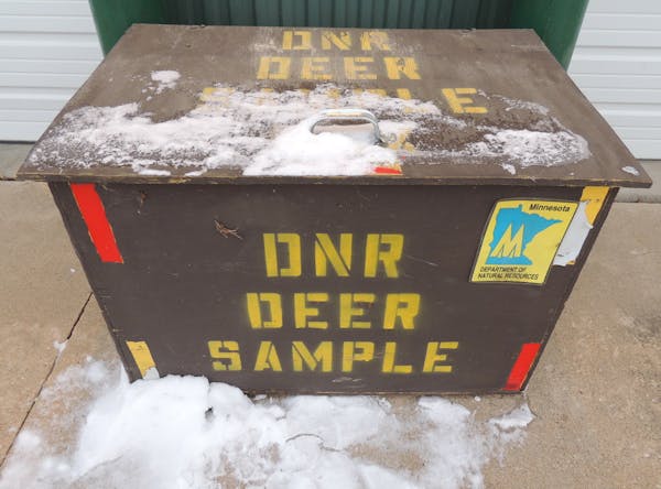 Deer head drop boxes like this one in southeastern Minnesota have become a fixture during recent deer hunts, as the DNR tries to determine the prevale