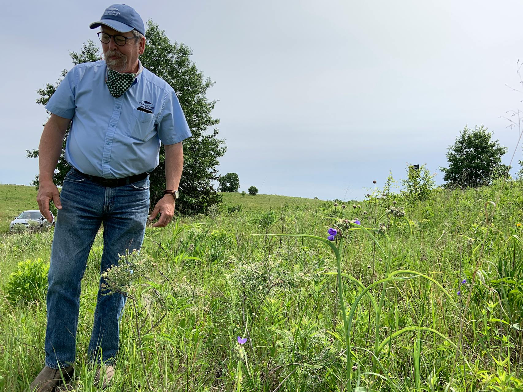 John Moriarty, senior wildlife manager at Three Rivers Parks District, stood in mid-June in some of the newest prairie at Crow-Hassan. 