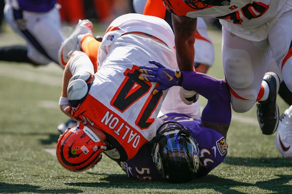 Baltimore Ravens outside linebacker Terrell Suggs (55) sacks Cincinnati Bengals quarterback Andy Dalton (14) in the second half of an NFL football gam