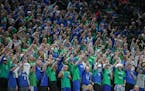 Eagan fans cheered on the volleyball team in last year's championship match.