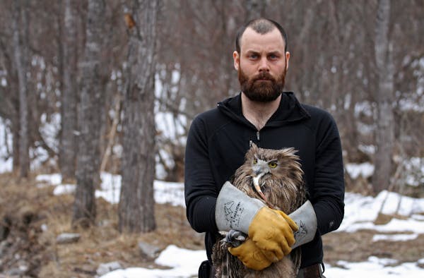 Jonathan C. Slaght and one of the female fish owls he caught and tracked in Russia. (The owl holds a fish in its beak.)