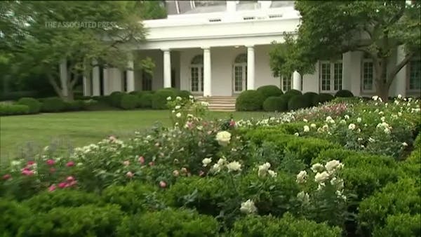White House Rose Garden ready for spotlight, first lady's speech