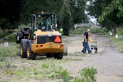 Two people walked by as a crew from the St. Paul Parks and Recreation Department removed ash trees along Juno Avenue in 2018.