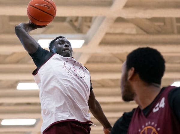Both Gach, a transfer from Utah who played high school basketball in Austin, Minn., is expected to play a key role with the Gophers men's basketball t