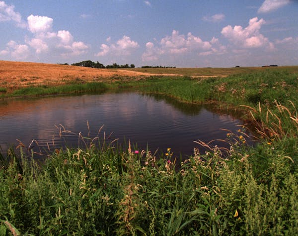 The Prairie Wetlands Learning Center.