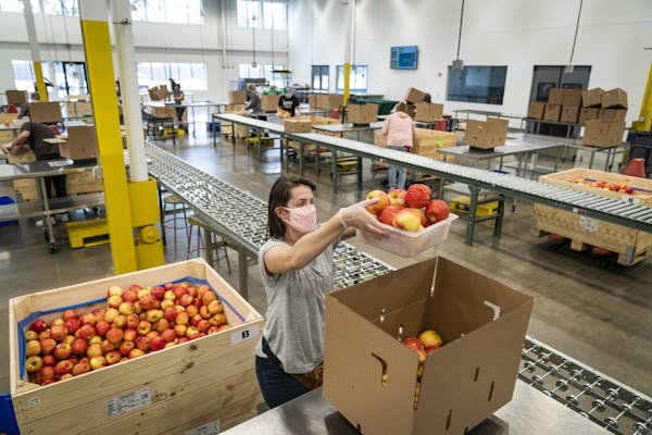 Volunteer Janessa Rosenfield of Hopkins packed apples into boxes at Second Harvest Heartland, where starting Thursday all volunteer opportunities will
