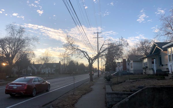 Trees along E. 42nd Street in south Minneapolis have been trimmed severely so that they don’t interfere with power lines.